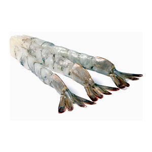 Scampi Nobashi rauw - doos 4,5 kg